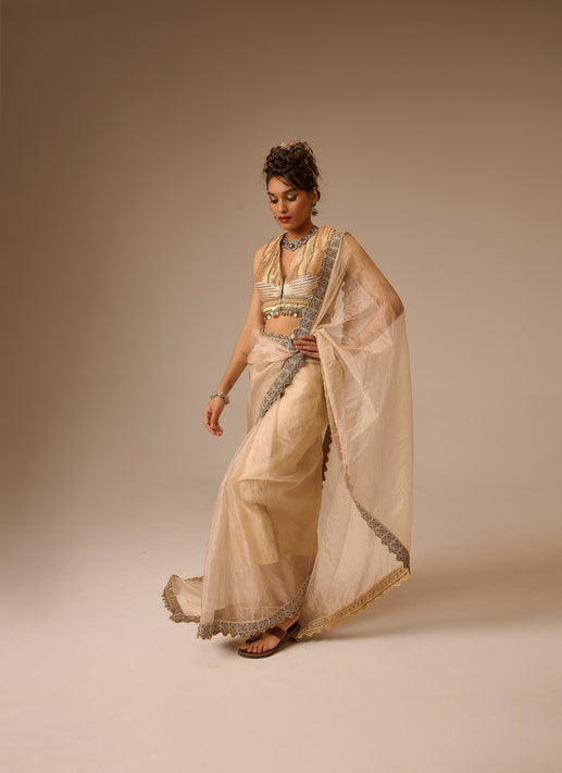 Golden saree with brown background