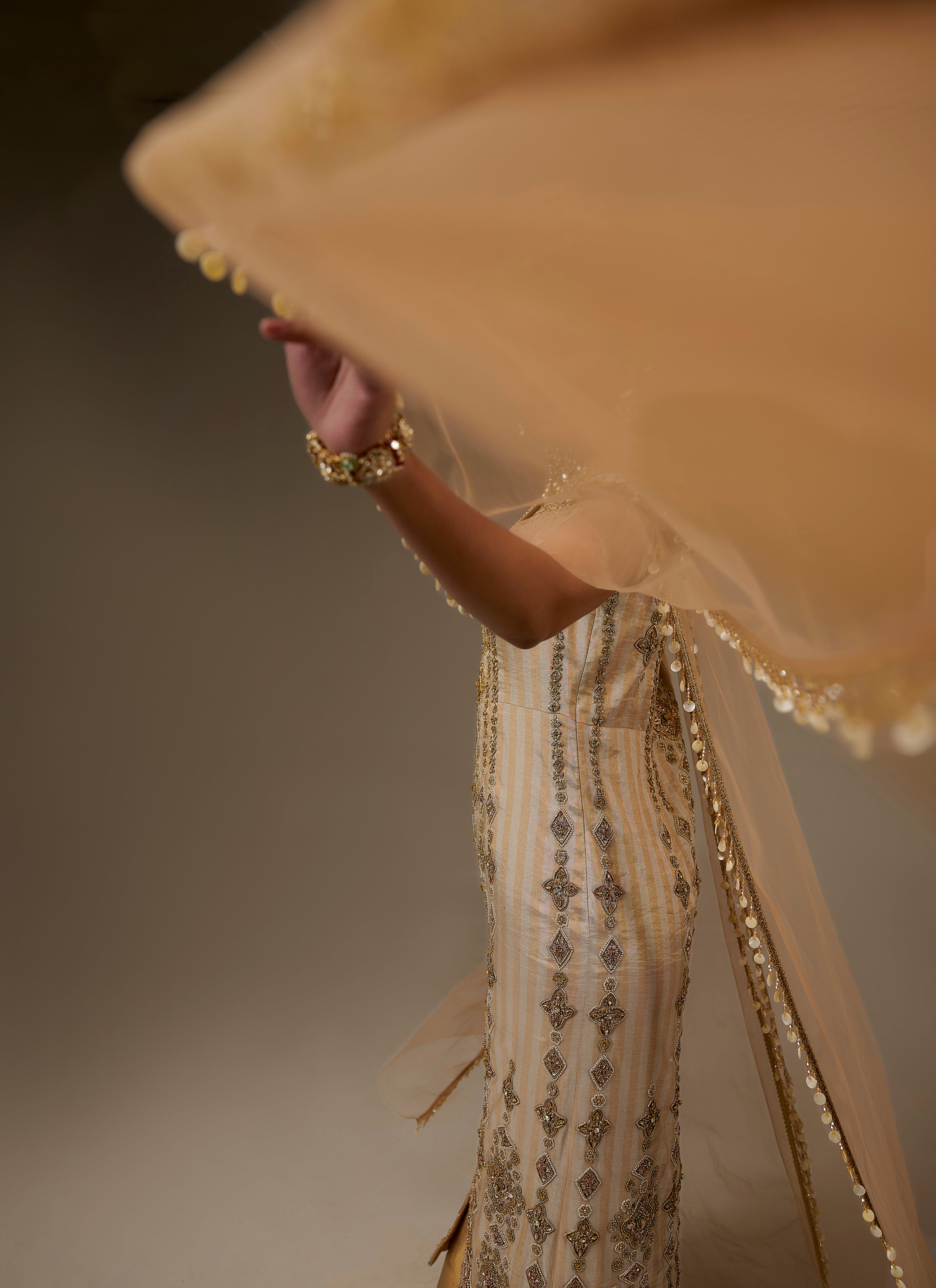 Close-up of a person wearing a traditional outfit with a sheer beige dupatta.