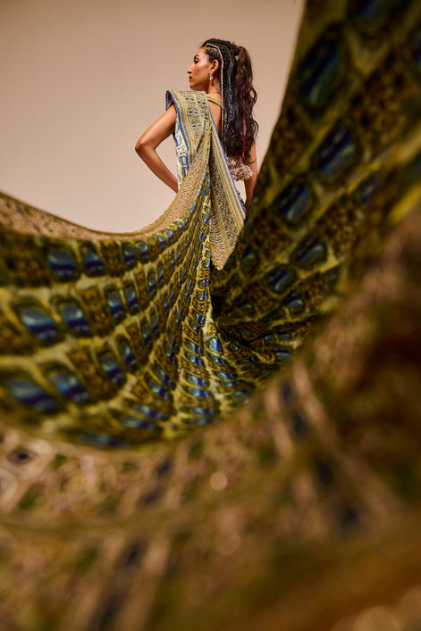 Woman in a colorful saree standing behind a peacock with a blurred background
