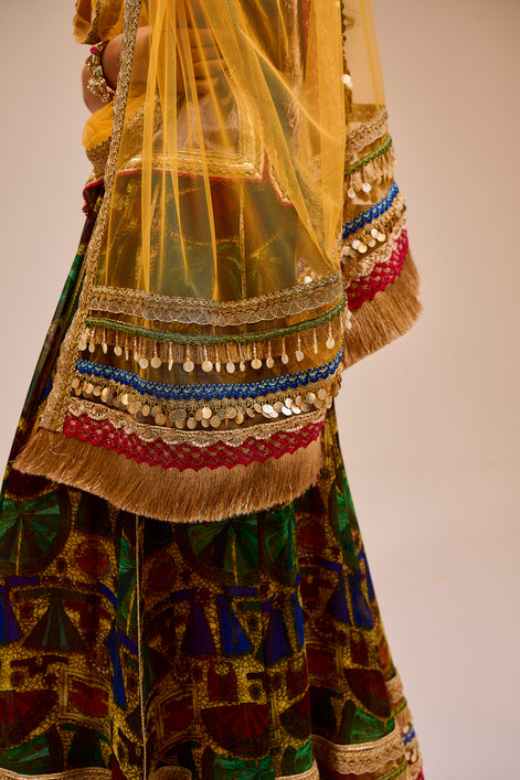 Colorful traditional outfit with intricate patterns and a sheer overlay.