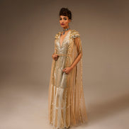 Woman wearing a gold and silver embroidered dress against a brown background