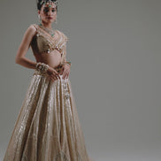 Salma sitara lehenga set